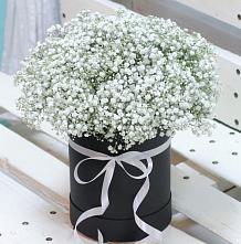 Цветочная композиция из Гипсофила в шляпной коробке #REPLACE_PRED# Черное