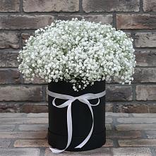Цветочная композиция из Гипсофила в шляпной коробке в Черное