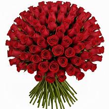 Букет Красные розы Чери Лав #REPLACE_PRED# Черное