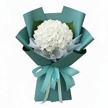 Букет цветов из:  Гортензия в Черное